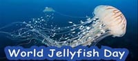 World Jellyfish Day- Important facts - Let's know...